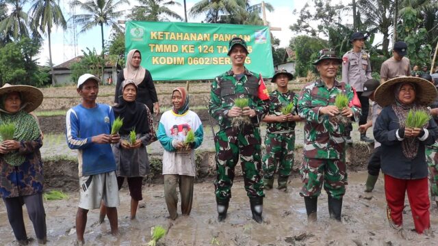Dansatgas TMMD 124 Kodim Serang Turun Sawah Tanam Padi Bareng Petani
