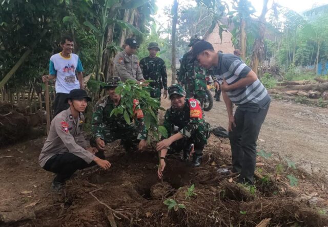 Wujudkan Penghijauan, Satgas TMMD 124 Kodim Serang Tanam Ratusan Pohon di Sepanjang Jalan Baru Hasil TMMD