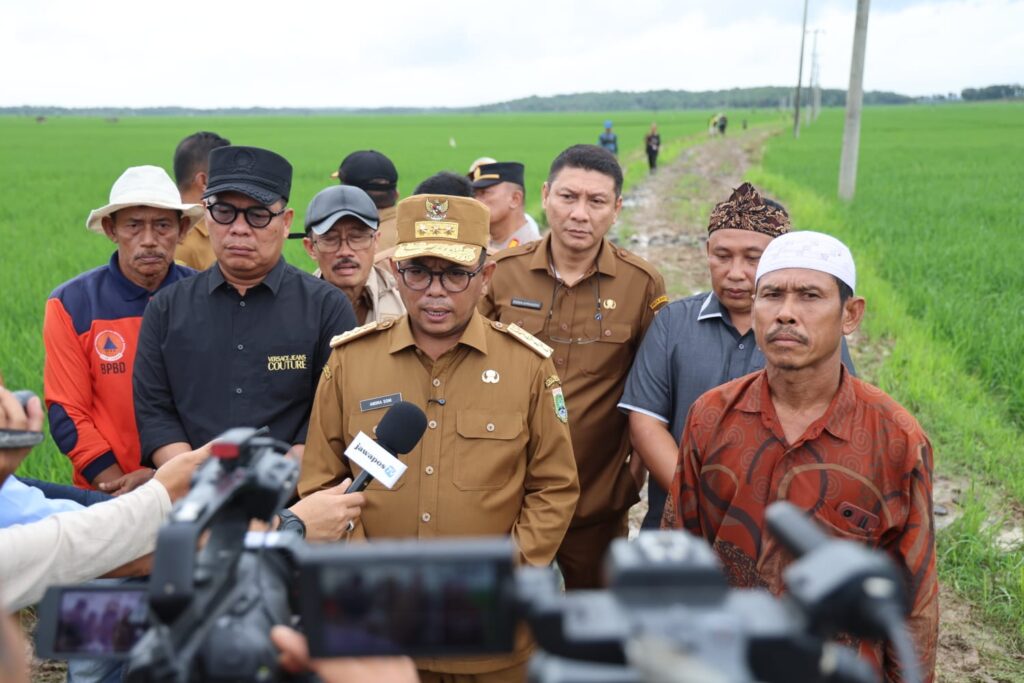 Andra Soni Tinjau Lokasi Percontohan Jalan Usaha Tani di Lebak Andra Soni Tinjau Lokasi Percontohan Jalan Usaha Tani di Lebak