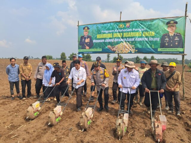 Dukung Program Ketahanan Pangan, Kapolres Serang dan Kelompok Tani Tanam Jagung di Lahan 2 Hektar di Kecamatan Jawilan
