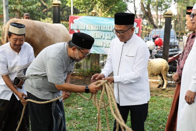 Saksikan Penyembelihan Hewan Kurban Presiden Prabowo, Andra Soni : Kita Salurkan Ke Masyarakat