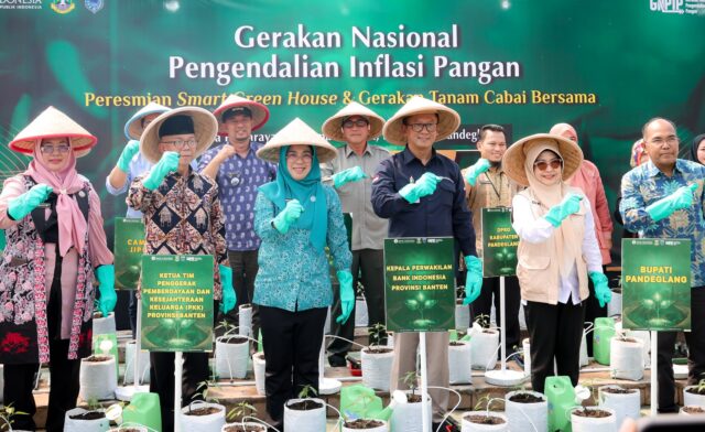 Ketua TP PKK Provinsi Banten Ajak Ibu Rumah Tangga Memaksimalkan Pekarangan Rumah