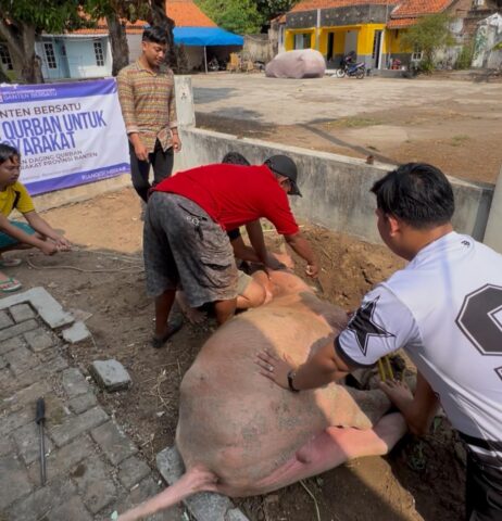 BEM Banten Bersatu Serahkan Daging Hewan Qurban ke masyarakat, Wujud Nyata Mahasiswa Dekat dengan Rakyat