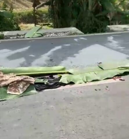 Ibu Rumah Tangga Tewas Ditabrak Dump Truck Proyek Urugan di Sawah Luhur