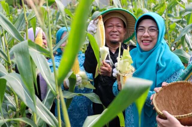 Ketua TP PKK Banten : Keluarga Turut Berperan Wujudkan Swasembada Pangan