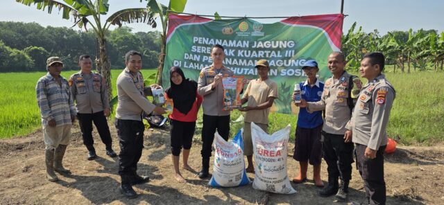 Kolaborasi Dengan Kelompok Tani, Polsek Petir Tanam Bibit Jagung Kuartal III 