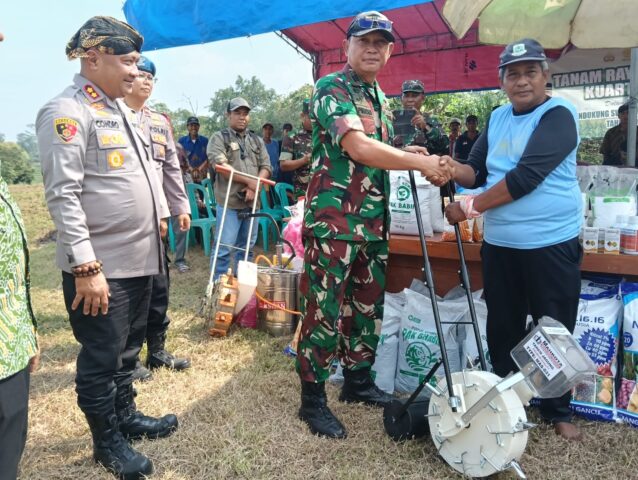 Danramil Pamarayan Dukung Ketahanan Pangan, Melalui Penanaman Jagung Kuartal III