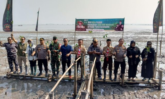 Danramil Kasemen Dampingi Anggota DPR-RI Annisa M.A Mahesa Laksanakan Penanaman Mangrove