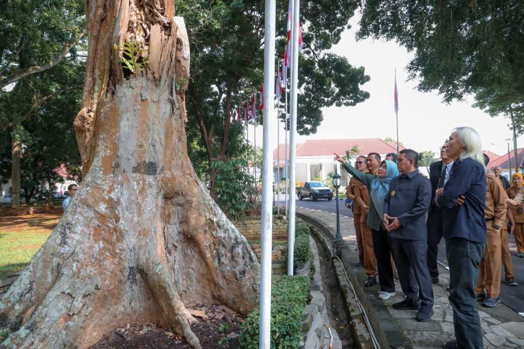 Andra Soni Diskusikan Pemeriksaan Pohon dan Konservasi Pohon Bersama Tim IPB Andra Soni Diskusikan Pemeriksaan Pohon dan Konservasi Pohon Bersama Tim IPB