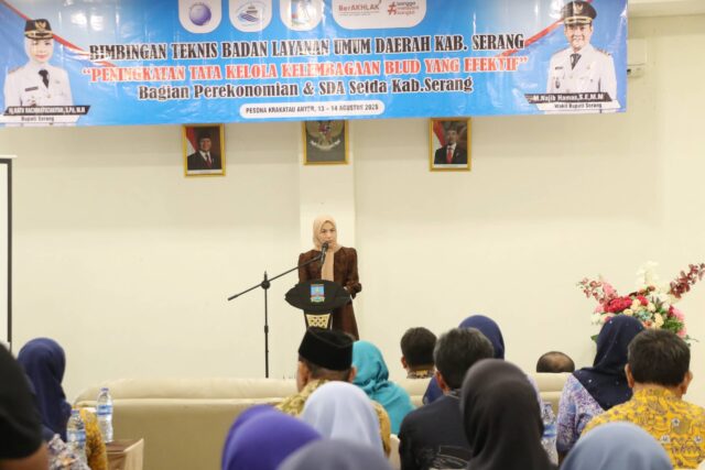 Buka Bimtek, Ratu Zakiyah Dorong BLUD Bidang Kesehatan Profesional