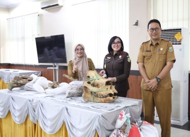 Kejati Banten Serahkan Rangka Badak Jawa Hasil Barang Bukti ke Museum Negeri Banten