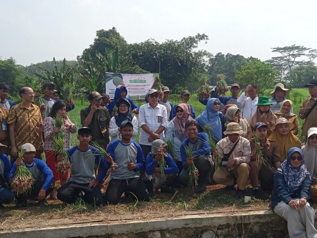 Panen Raya Bawang di Walantaka, Hasil Meningkat Tajam Panen Raya Bawang di Walantaka, Hasil Meningkat Tajam