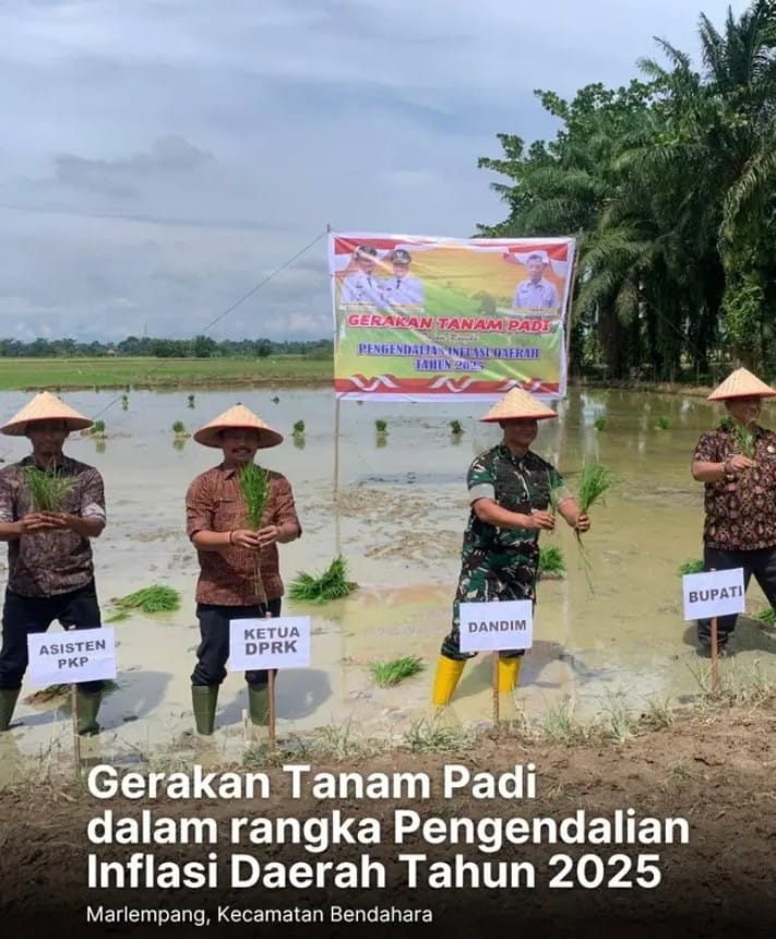 Gerakan Tanam Padi Jadi Upaya Kendalikan Inflasi di Aceh Tamiang