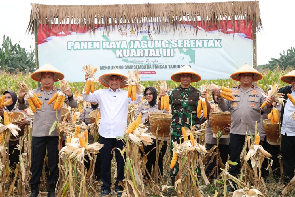 Banten Panen Raya Jagung, Wagub : Momentum Peningkatan Kesejahteraan Petani