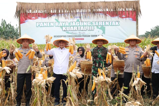 Banten Panen Raya Jagung, Wagub : Momentum Peningkatan Kesejahteraan Petani