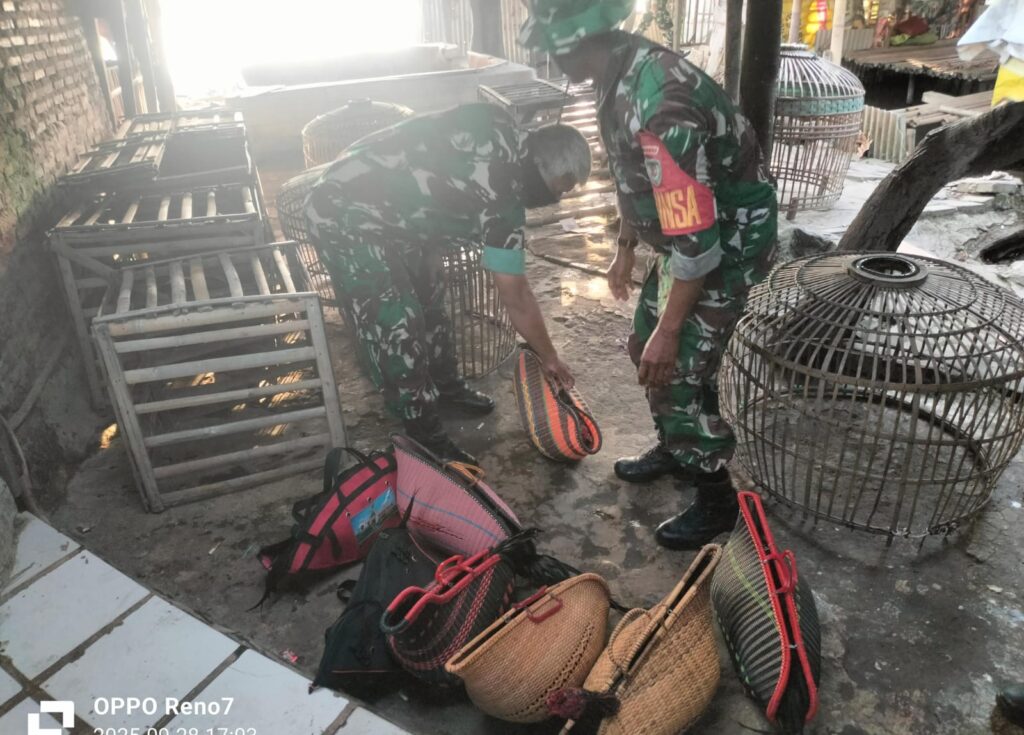 Pelaku Kabur, Koramil Pontang Bubarkan Arena Judi Sabung Ayam di Lebakwangi