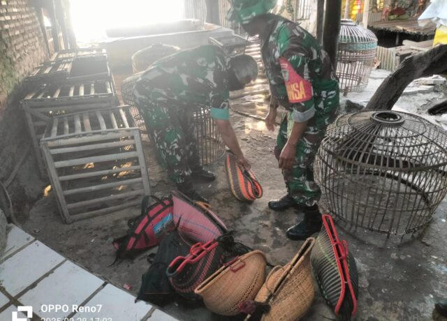 Pelaku Kabur, Koramil Pontang Bubarkan Arena Judi Sabung Ayam di Lebakwangi