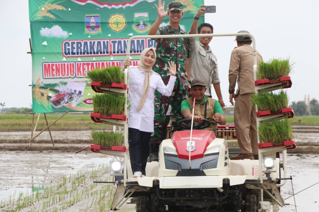 Transplanter Didorong untuk Genjot Produksi Padi, Kabupaten Serang Pacu Percepatan Tanam Transplanter Didorong untuk Genjot Produksi Padi, Kabupaten Serang Pacu Percepatan Tanam