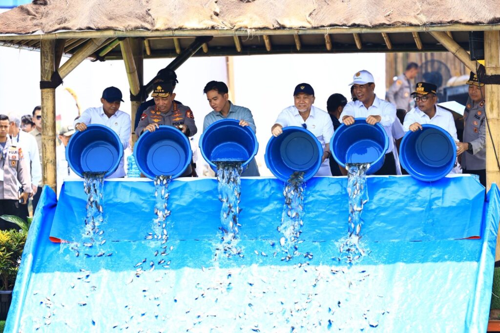 Wakil Presiden RI Tebar 80.000 Bibit Ikan Nila, Wujud Dukung Ketahanan Pangan Nasional Wakil Presiden RI Tebar 80.000 Bibit Ikan Nila, Wujud Dukung Ketahanan Pangan Nasional