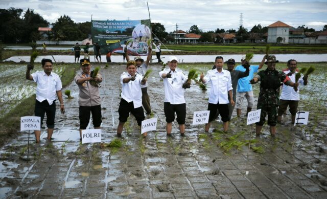 Penurunan Harga Pupuk Subsidi, Petani Kabupaten Serang Optimis Tingkatkan Produksi