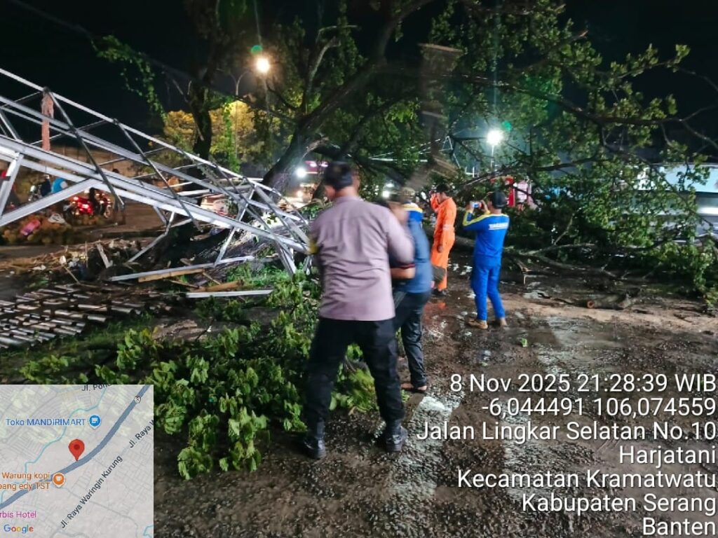 Pohon Trembesi Tumbang di Jalan Lingkar Selatan, Tim Gabungan Evakuasi hingga Malam
