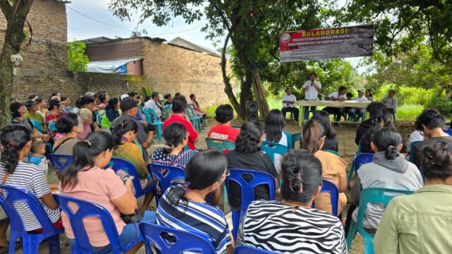 Peternak Desak Pemerintah Mitigasi Wabah Flu Babi di Sumut