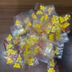 Darurat, DPP PERANK Tegaskan Perang Lawan Narkoba di Banten