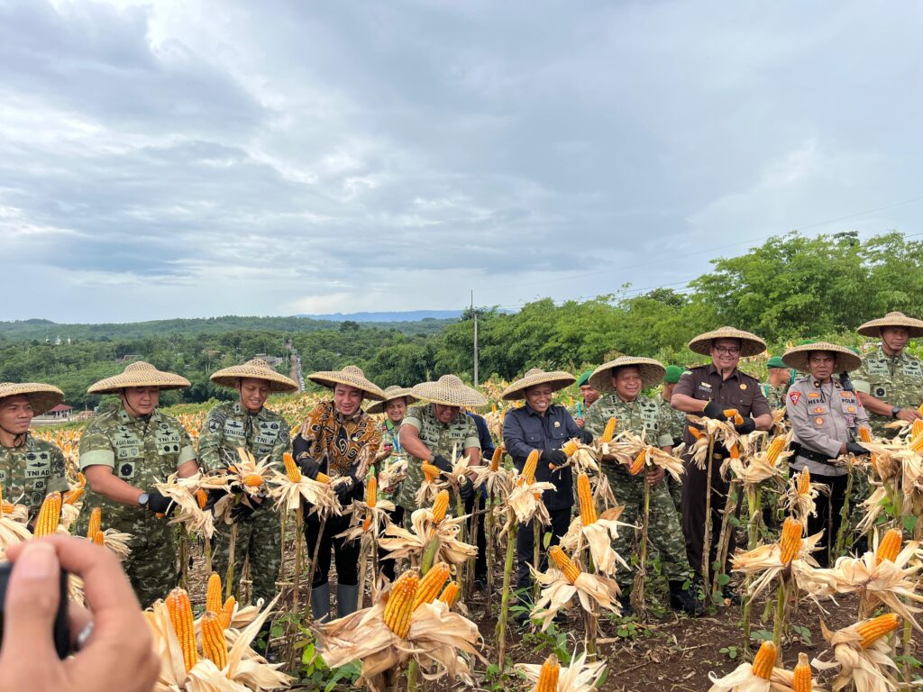 Panen Jagung Batalyon TP Lebak Diklaim Dukung Swasembada Pangan