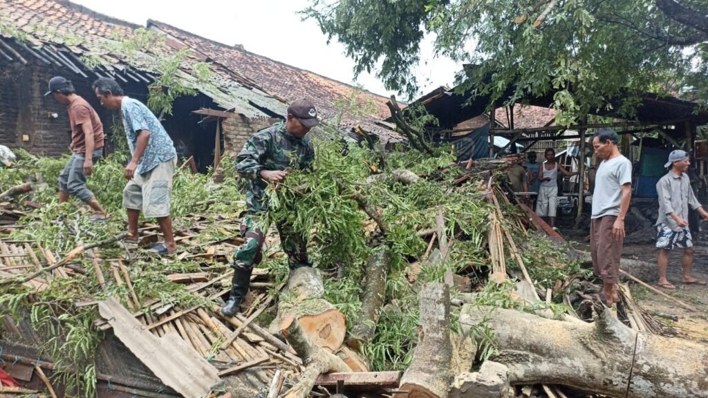 Hujan Disertai Angin Tumbangkan Pohon, Atap Rumah Warga di Lialang Rusak