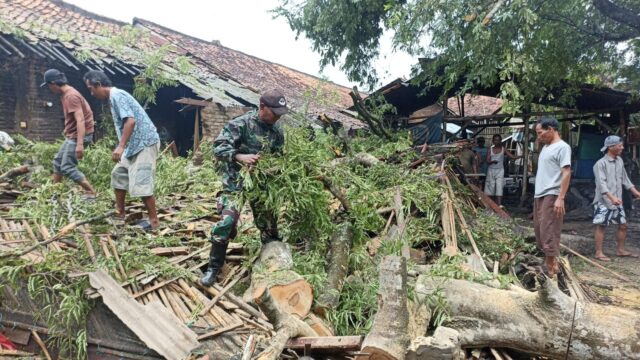 Hujan Disertai Angin Tumbangkan Pohon, Atap Rumah Warga di Lialang Rusak