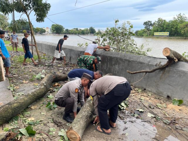 Pohon Tumbang Tutup Akses Jalan, Polisi dan Warga Bergerak Cepat
