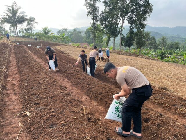 Polda Jabar Tanam Jagung dan Ubi Ungu di Lahan 752 Hektare