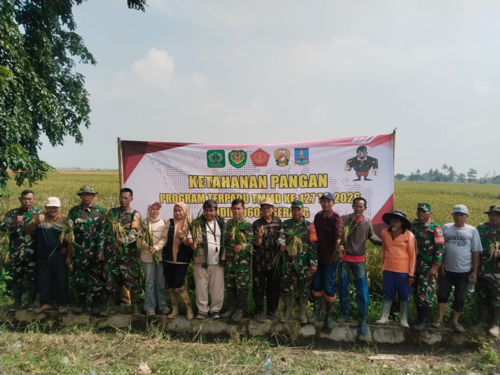 Petani Sukamenak Panen Raya, Harap Pendampingan dari Kodim Serang Berlanjut