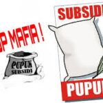 Harga Pupuk Bersubsidi Di Kecamatan Patia Meroket Tembus 240 Ribu, Petani Mengeluh, Pemilik Kios Bungkam