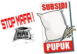 Harga Pupuk Bersubsidi Di Kecamatan Patia Meroket Tembus 240 Ribu, Petani Mengeluh, Pemilik Kios Bungkam