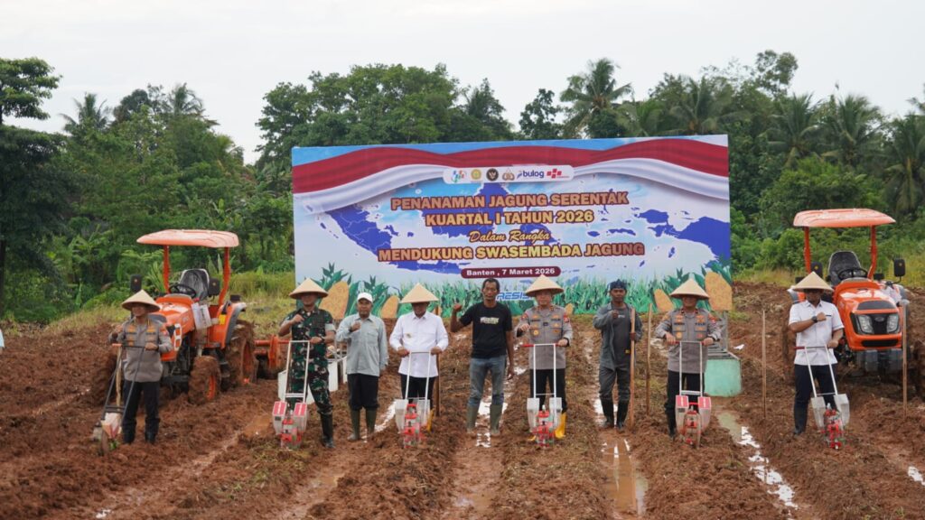 Perkuat Swasembada Pangan, Danrem 064/MY Hadiri Tanam Jagung Serentak