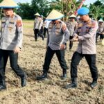 Bidpropam Polda Banten Tanam Jagung, Dukung Program Ketahanan Pangan