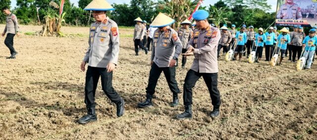Bidpropam Polda Banten Tanam Jagung, Dukung Program Ketahanan Pangan