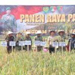 Pangdam Siliwangi Tutup Kunker di Lebak dengan Panen Raya dan Pembinaan Prajurit
