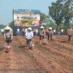 Kapolda Banten Inisiasi Penanaman Jagung di Lahan Tidur Kabupaten Serang
