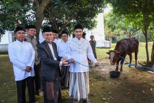Wagub Banten Pastikan Hewan Kurban ASN Sehat dan Layak Salur
