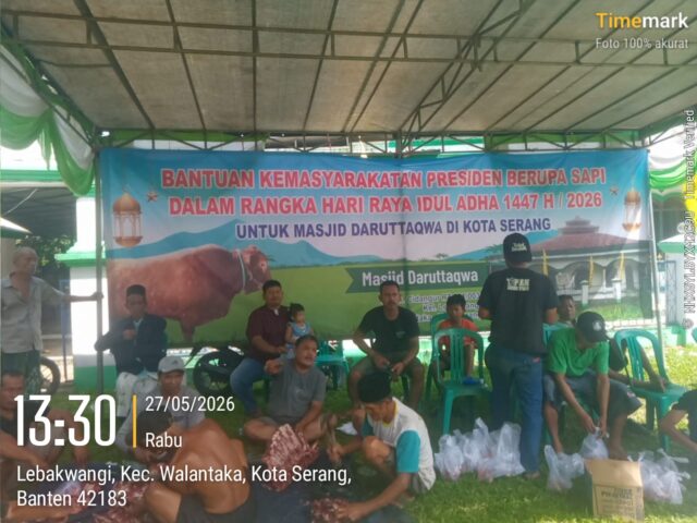 Sapi Bantuan Presiden Disalurkan ke Masjid Daruttaqwa Walantaka‎