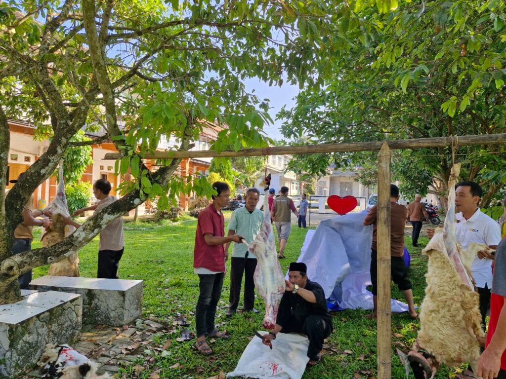 UNMA Gelar Kurban Idul Adha, Sembelih Dua Sapi dan Tiga Kambing‎