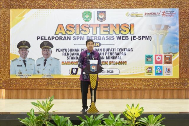 Kemendagri Dorong Tapin Percepat Pemenuhan Standar Pelayanan Minimal‎