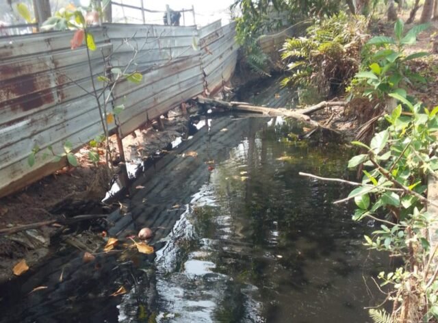 Perusahaan Tambak Udang di Desa Sukarame Diduga Cemari Lingkungan, Buang Limbah Langsung ke Sungai