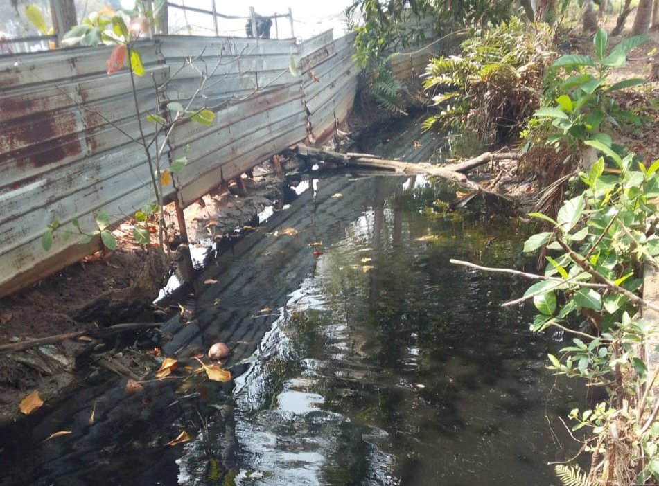 Perusahaan Tambak Udang di Desa Sukarame Diduga Cemari Lingkungan, Buang Limbah Langsung ke Sungai