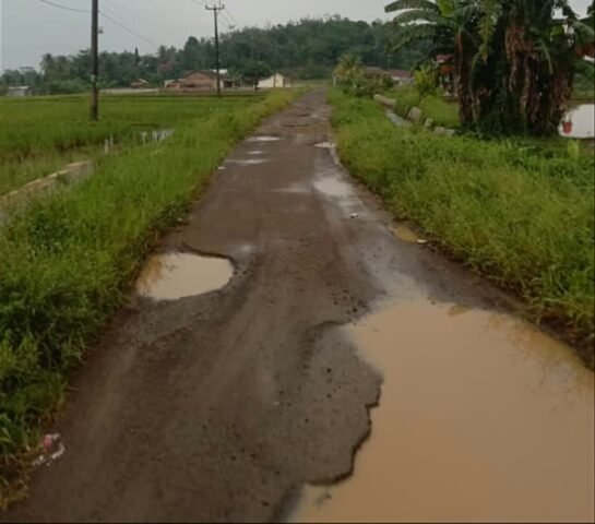 Hampir Dua Dekade Rusak, Jalan Utama Desa Sekong Dikeluhkan Warga