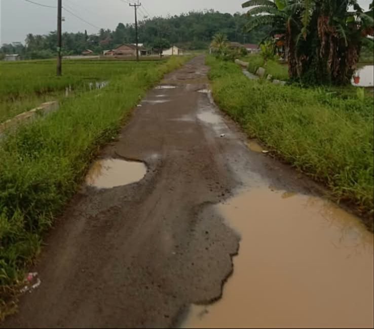 Hampir Dua Dekade Rusak, Jalan Utama Desa Sekong Dikeluhkan Warga