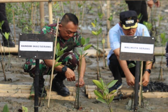 Sambut HUT TNI ke-81, Kodim Serang Tanam 2.000 Mangrove di Pantai Gope