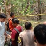 Pria Tanpa Identitas Ditemukan Tewas di Kebun Dekat KUA Tunjung Teja